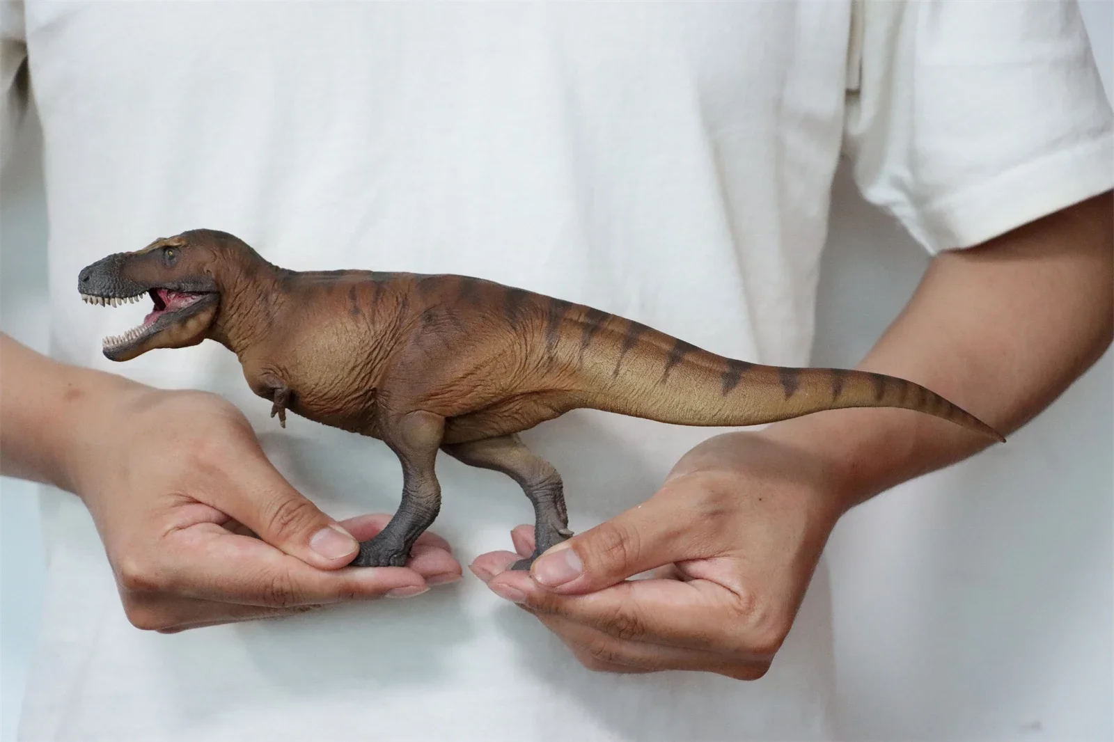 PNSO 1/35 Tyrannosaurus Rex Ca - Resin Art Decoration Items recension och pris
